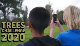 Trees Challenge 2020 - Webinar for Educators